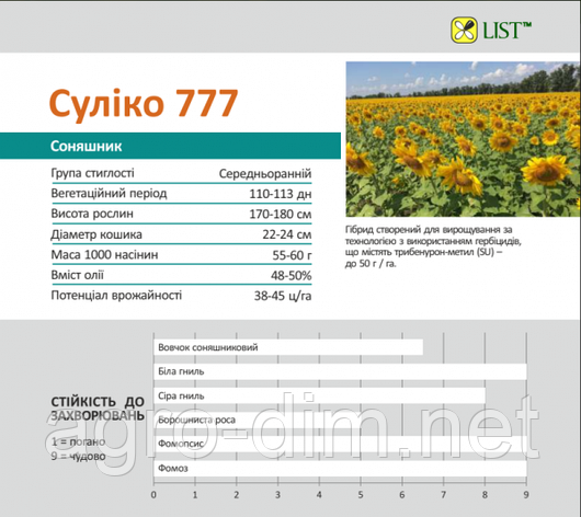 Насіння соняшника Сулико 777, фото 2