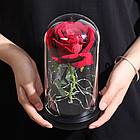 Троянда в колбі 20 см, з LED-підсвічуванням, Червона + Подарунок Кільце "I Love you" / Квітка-нічник вічна троянда, фото 4