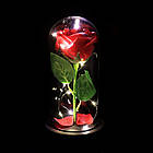 Троянда в колбі 20 см, з LED-підсвічуванням, Червона + Подарунок Кільце "I Love you" / Квітка-нічник вічна троянда, фото 6