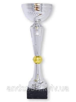 Кубок ДТ2 - 227 C h 30 см
