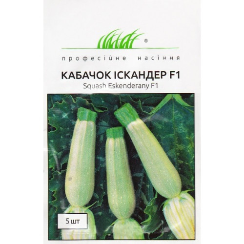 Кабачок Іскандер F1 5шт Професійне насіння, фото 1