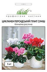 Насіння Цикламену персидського Гігант суміш 5шт ТМ Професійне насіння