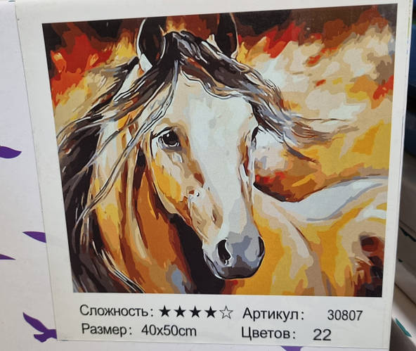 Картина-раскраска по номерам на холсте 40*50 РН30807 Энергия Лошадь (н ...