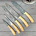 Набір кухонних ножів Edenberg EB-11004 (6 предметів)/Кухонні ножі на підставці, фото 5