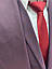 Чоловічий костюм West-fashion модель А Т-12 бордо, фото 3