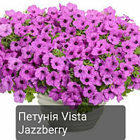 Петунія Vista Jazzberry, горщик 300мл