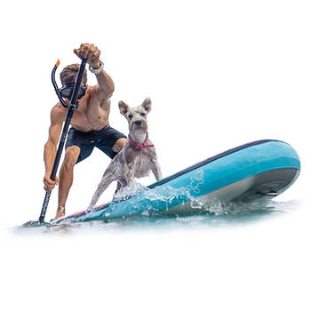 Для прокату