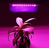 Світлодіодний фітопрожектор повного спектру 30вт, фото 6