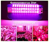 Світлодіодний фітопрожектор повного спектру 30вт, фото 3