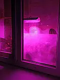 Світлодіодний фітопрожектор повного спектру 30вт, фото 9