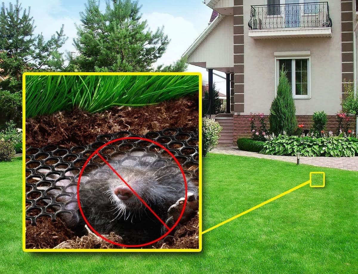 Сітка пластикова 2×30м=60м2 захист газону від кротів Газон 9х9мм, фото 1