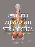 Основи анатомії людини. Наочний посібник для художників