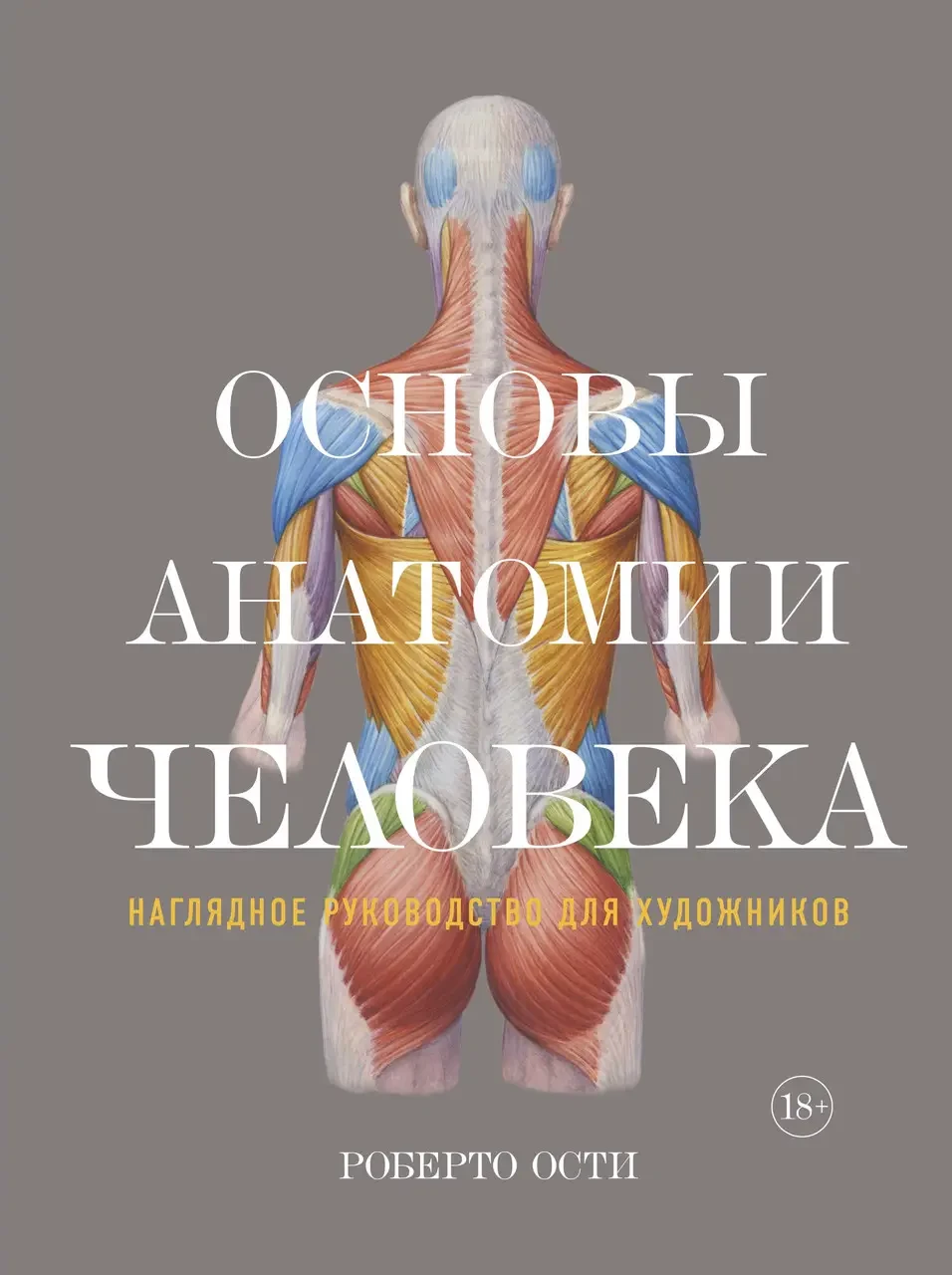 Основы Анатомии Человека. Наглядное Руководство для Художников — Купить ...