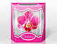 Свіжа зрізана Орхідея в коробці, коробочці на подарунок, Орхідея у святковій коробці, фото 6