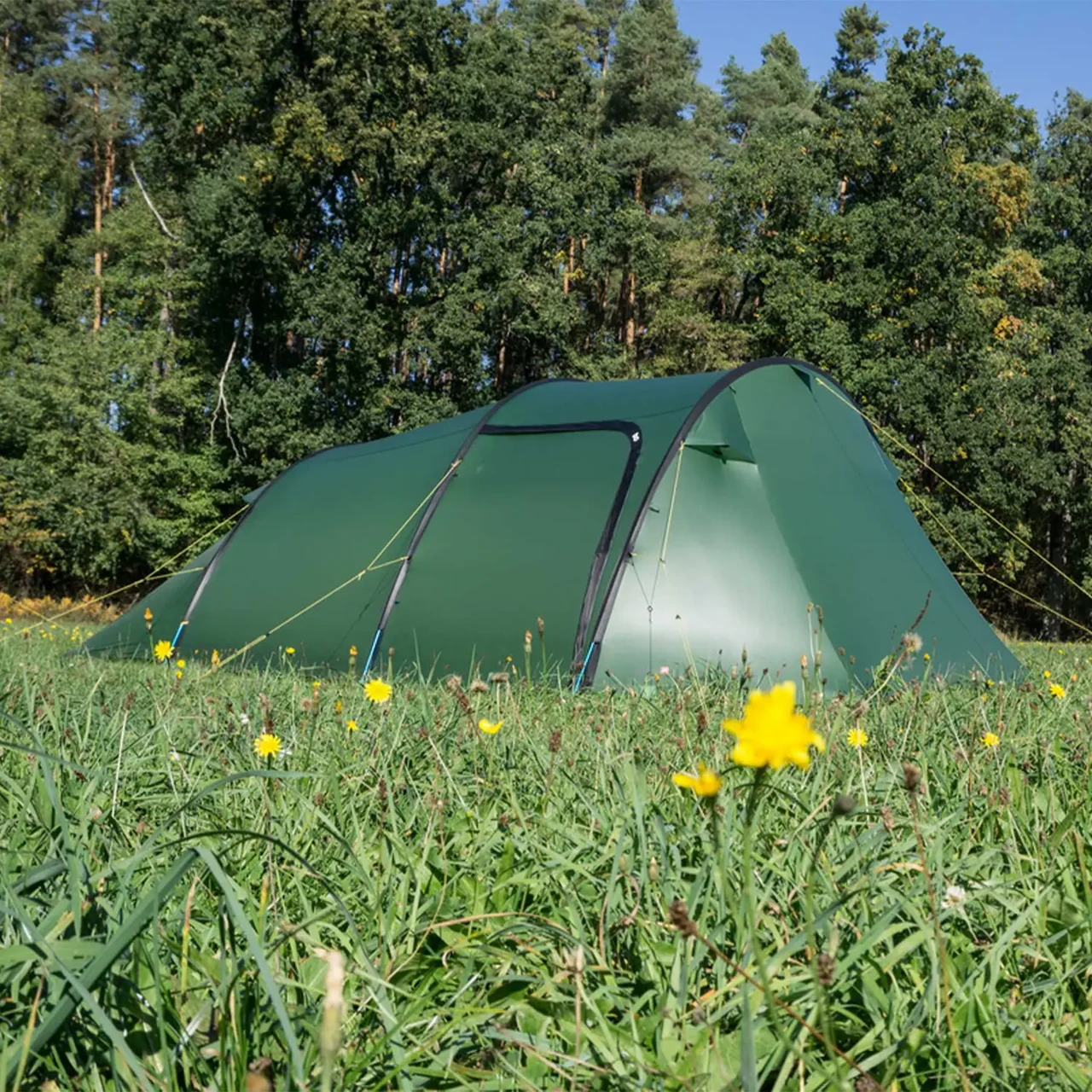 Намет Wechsel Tempest 4 ZG Green (231053), фото 1