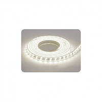 Стрічка світлодіодна LED "GANJ" (220-240 V) вологозахищена 6400К ціна вказана за 1 м