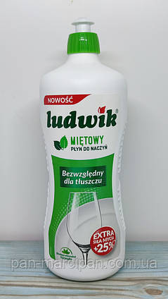 Засіб для миття посуду Ludwik Mietowy 900 г