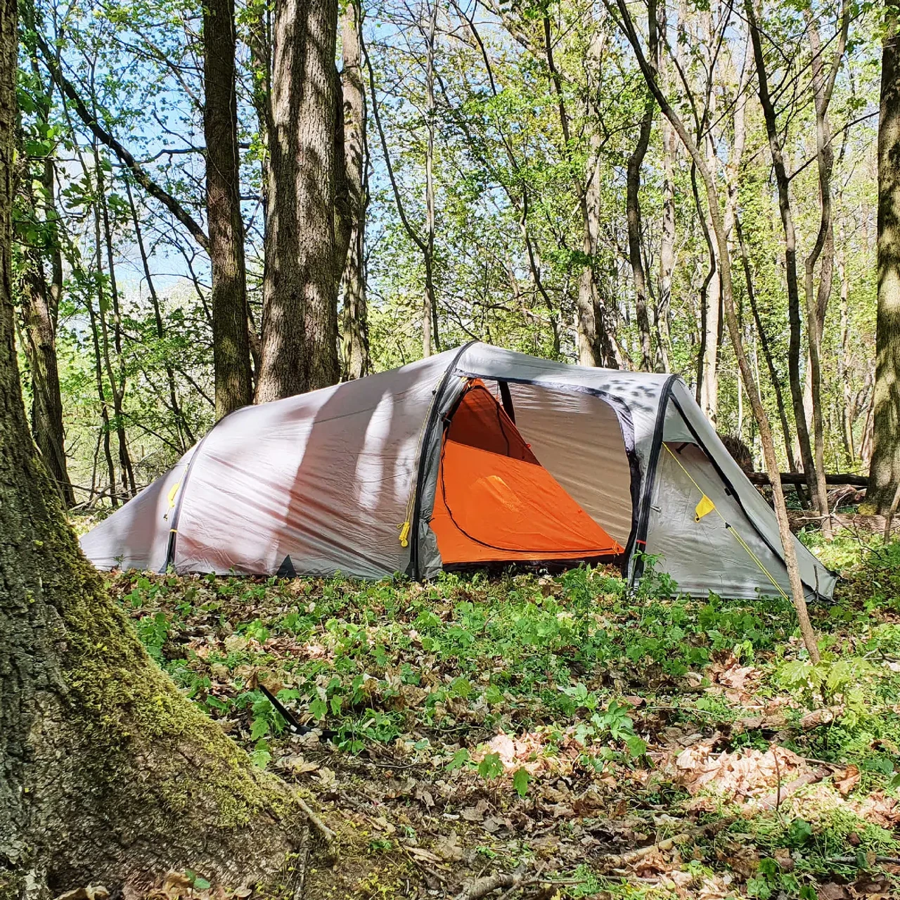 Намет тримісний Wechsel Outpost 3 TL Laurel Oak (231070), фото 1