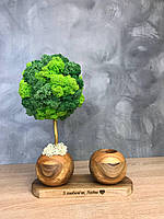 Органайзер шар с деревом со стабилизированным мхом Деревянный органайзер для канцелярии