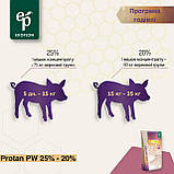 Protan PW 20% - стартер БМВД для поросят до 35 кг, фото 5