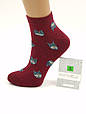 Жіночі короткі шкарпетки Montebello котики бавовна 36-40 12 пар/уп мікс кольорів, фото 3