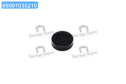 Заглушка кришки, розподільний вал (вир-во FEBI) 32255