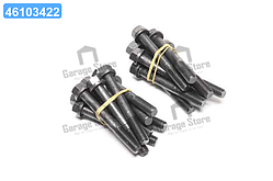 Болт головки блоку (компл.) FORD TRANSIT D25/D25T (вир-во Elring) 802.930