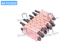 Болт головки блоку (компл.) BMW M52B20/M52B25/M52B28 (110MM) (вир-во Elring) 802.820