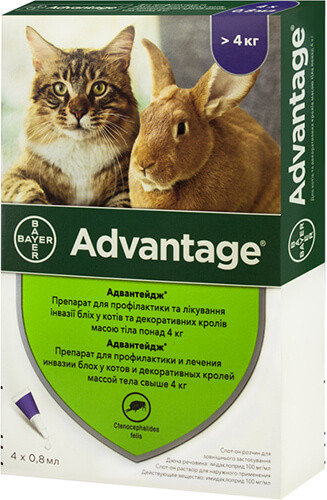 Advantage (Адвантейдж) by Bayer Animal - Протипаразитарні краплі Адвантейдж від бліх для котів і кролів (4 піпетки)