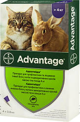 Advantage (Адвантейдж) by Bayer Animal - Протипаразитарні краплі Адвантейдж від бліх для котів і кролів (4 піпетки)