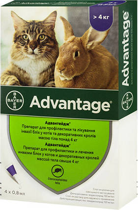 Advantage (Адвантейдж) by Bayer Animal - Протипаразитарні краплі Адвантейдж від бліх для котів і кролів (4 піпетки), фото 2