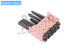 Болт головки блоку (компл.) FORD1.8TDCI C9DA/C9DB/C9DC/FFDA/BHPA/HCPA/HCPB (вир-во Elring) 027.850