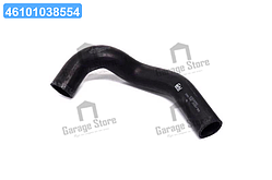 Патрубок водяного охолодження двигуна, знизу, від радіатора до водяного насоса MB (вир-во FEBI) 12095