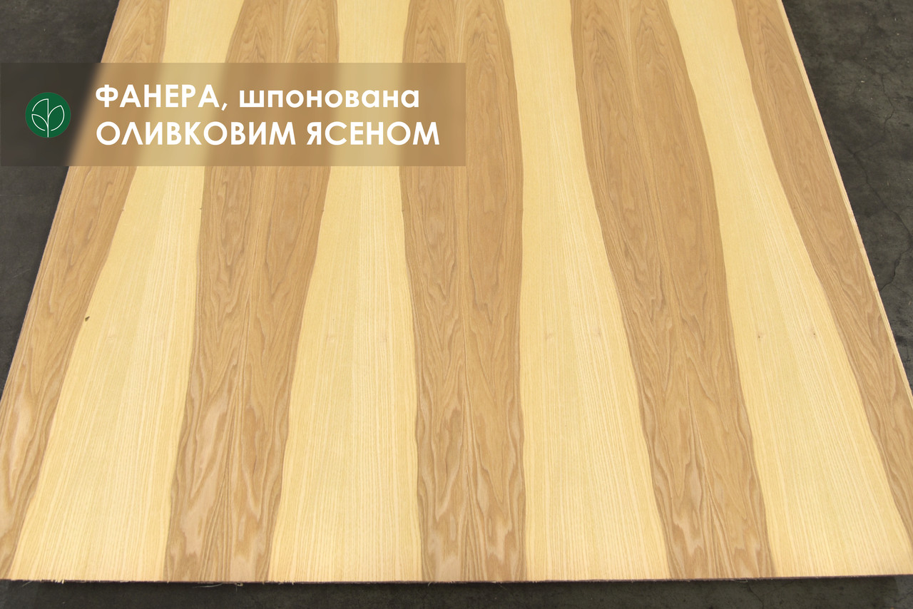 Фанера березова, шпонована оливковим ясеном, 10 мм - 2,5х1,25 м