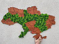 Деревянная карта Украины 1х0,65 м. со стабилизированным мхом