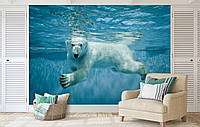 Флизелиновые фотообои с природой в интерьере 312x219 см Животные Белый Медведь в Воде (12621VEXXL)+клей
