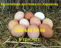 Свежие домашние куриные яйца, яички доставка по Харькову Бесплатная