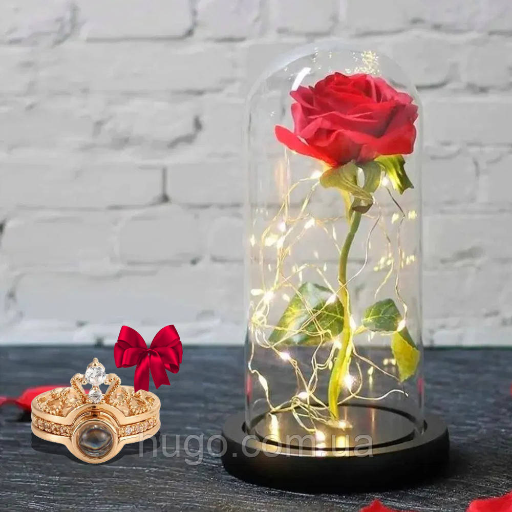 Троянда в колбі 20 см з LED підсвічуванням Червона + Подарунок Каблучка I love you / Нічник троянда в скляній колбі