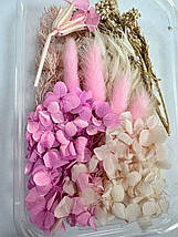 Набір сухих квітів для декору сухоцвіти (10), фото 2