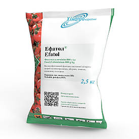 Фунгіцид Ефатол аналог Альет фосетил алюмінію 800 г/кг; картопля, томати, соняшник, яблуня, виноградники