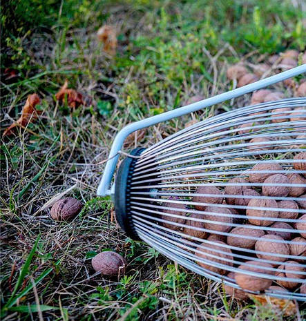 Рол для збору волоського горіха, орехосборник, плодосборник 7trav, фото 2