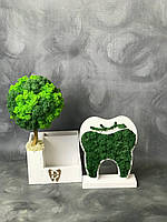 Деревянный органайзер для канцелярии с декоративным деревом из мха. Подарок стоматологу. Декор в стоматологию