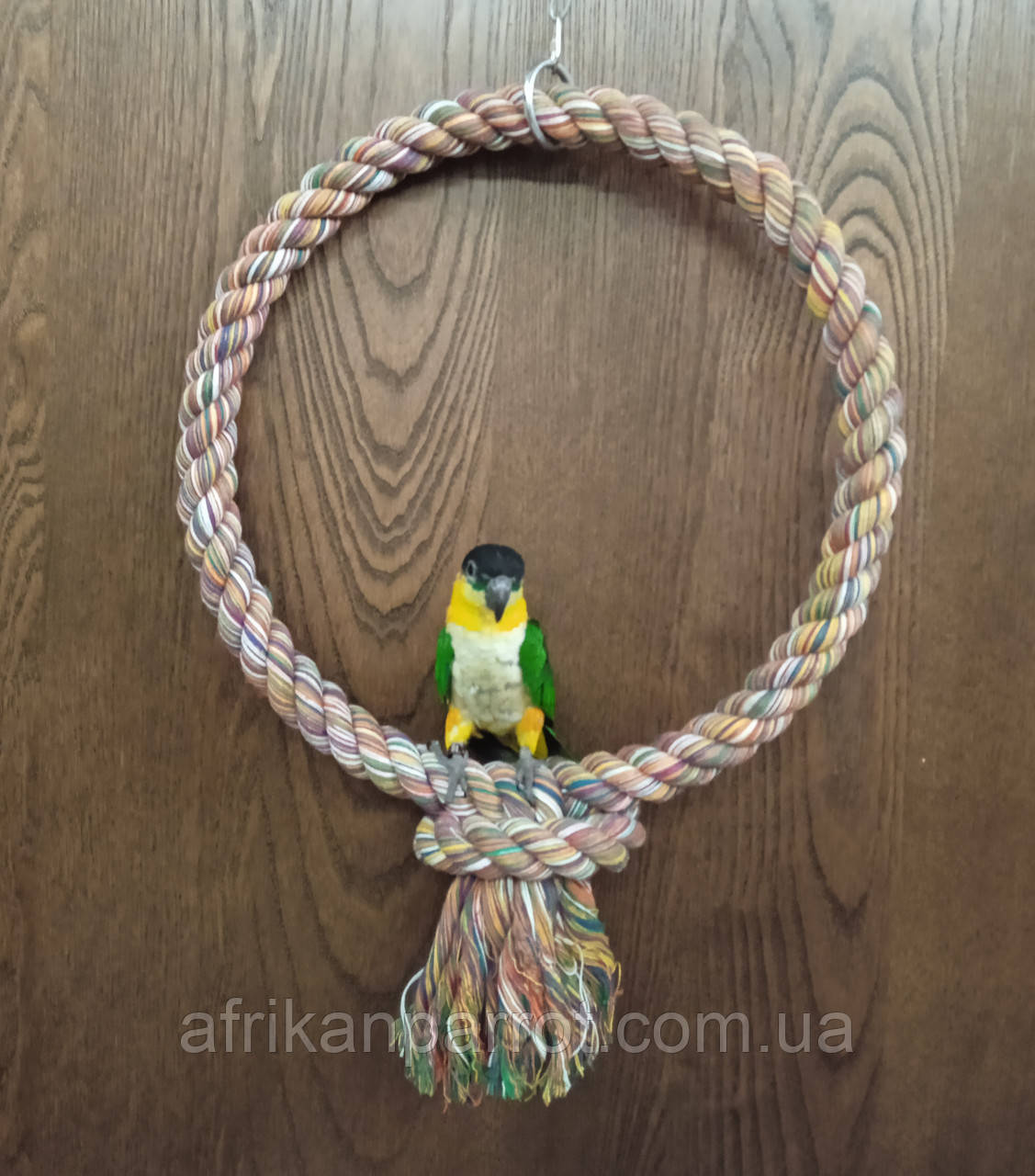 Кольцо-Качель для великих попуг43*43(d-4)білого кольору., фото 1