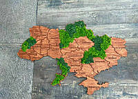 Деревянная карта Карта України 1.5*1 м со стабилизированным мхом