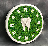Деревянные Эко-часы Зуб 35 см со стабилизированным мхом настенные Часы для стоматологии Декор в стоматологию