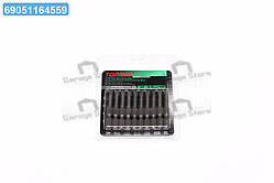 Набір біт 1/4" 50мм PH2 магнітних (під шуруповерт) 10шт (TOPTUL) FSLA0802G