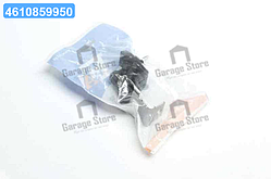 Кронштейн глушника RENAULT (вир-во Fischer) 223-931