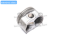 Поршень (вир-во GM) 96309101