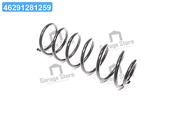 Пружина підв. CHEVROLET AVEO задн. (RIDER) RD.28110006