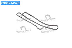 Прокладка, масляний радіатор FORD Transit 2,4DI/TDCI(вир-во Elring) 027.200